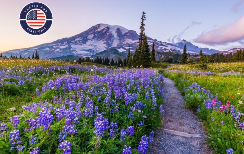100% Washington State - 14 nuits