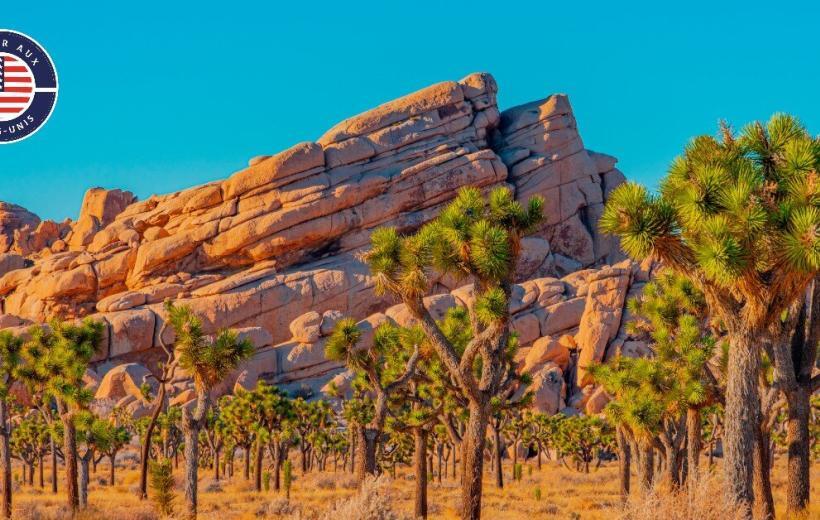 100% Californie : Highway 1 et Parcs Nationaux - 14 nuits